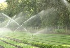 Renmark Westlandscaping-water-management-and-drainage-17.jpg; ?>